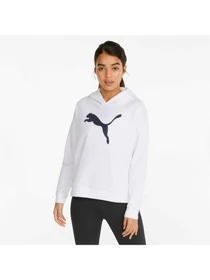 Худи и свитшоты PUMA Modern Sports Hoodie модель 847104 Фото