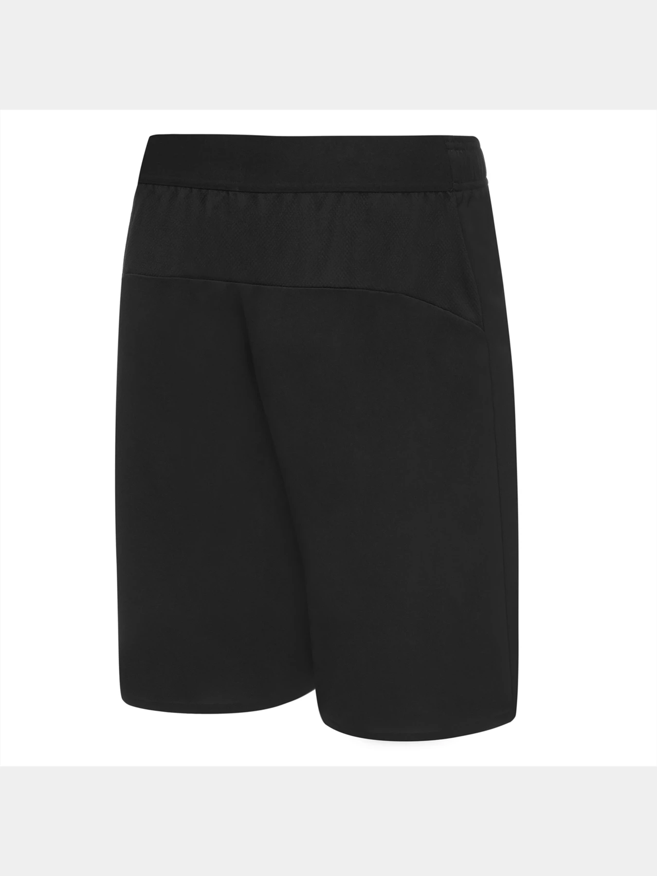 Шорты PUMA Fcsd Training Shorts модель 764109 Шорты PUMA Fcsd Training Shorts модель 764109 Фото