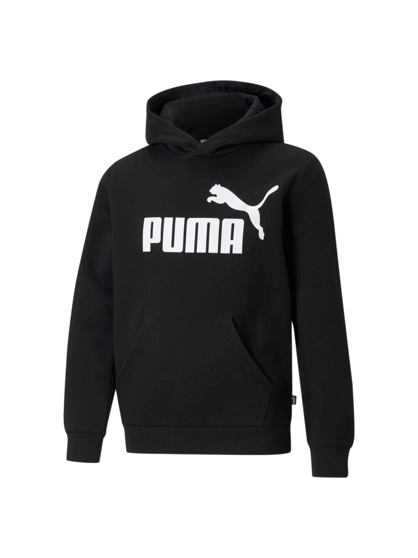 Худи и свитшоты PUMA Ess Big Logo Hoodie модель 586965 Фото