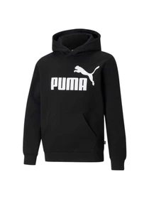 Худи и свитшоты PUMA Ess Big Logo Hoodie модель 586965 Фото