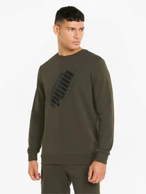 Худі та світшоти PUMA Power Logo Crew модель 847377 Фото