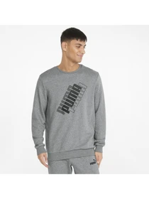 Худі та світшоти PUMA Power Logo Crew модель 847377 Фото