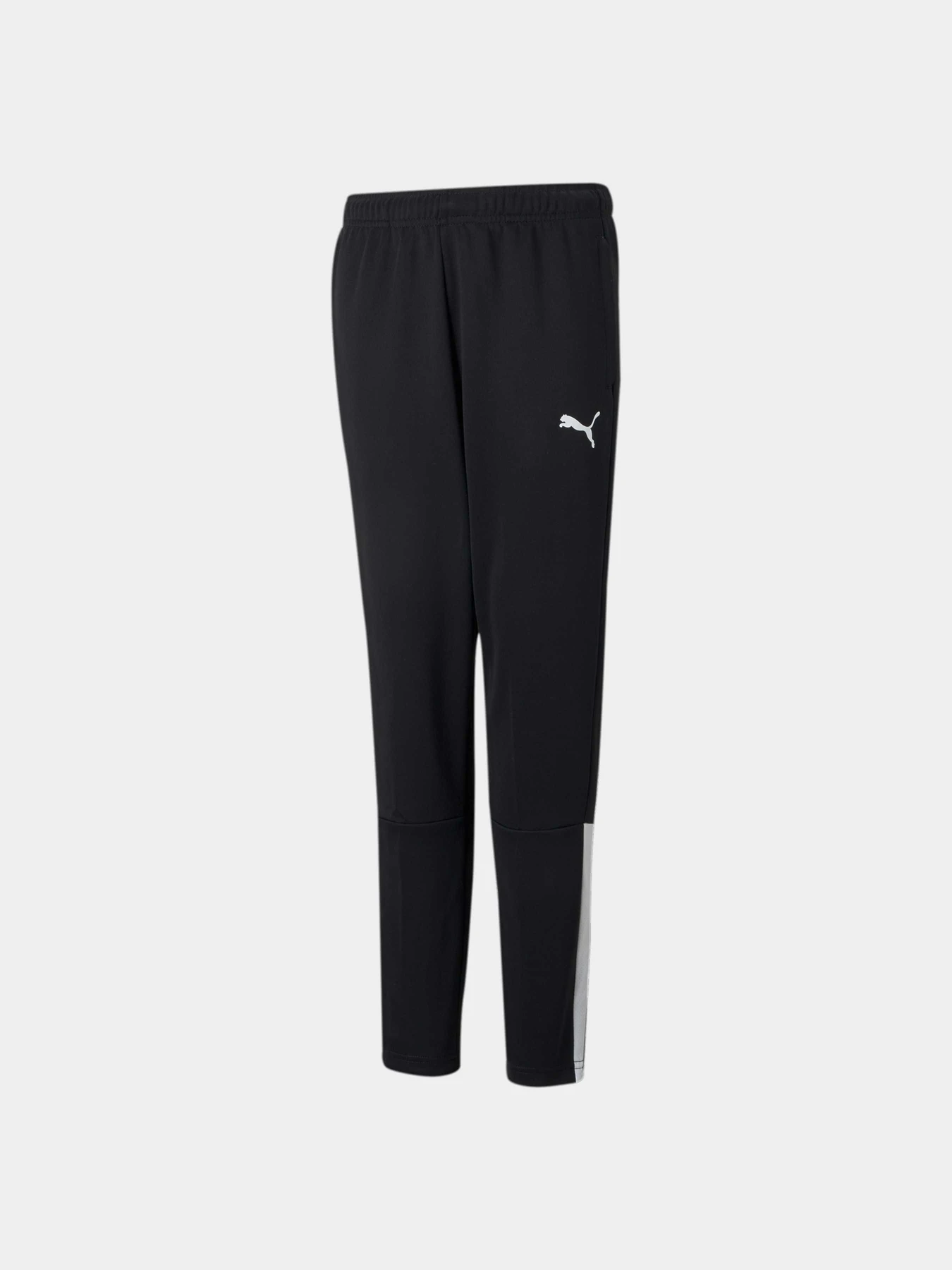 Брюки PUMA Teamliga Training Pants Jr модель 657243 Фото