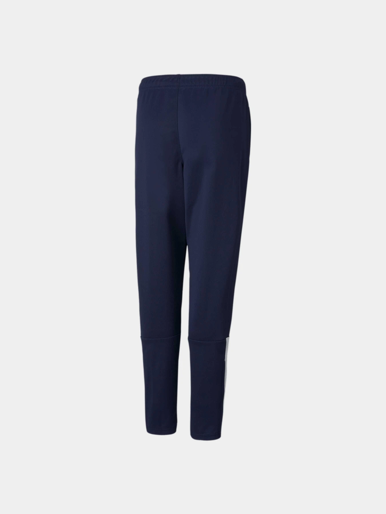 Штани PUMA Teamliga Training Pants Jr модель 657243 Фото