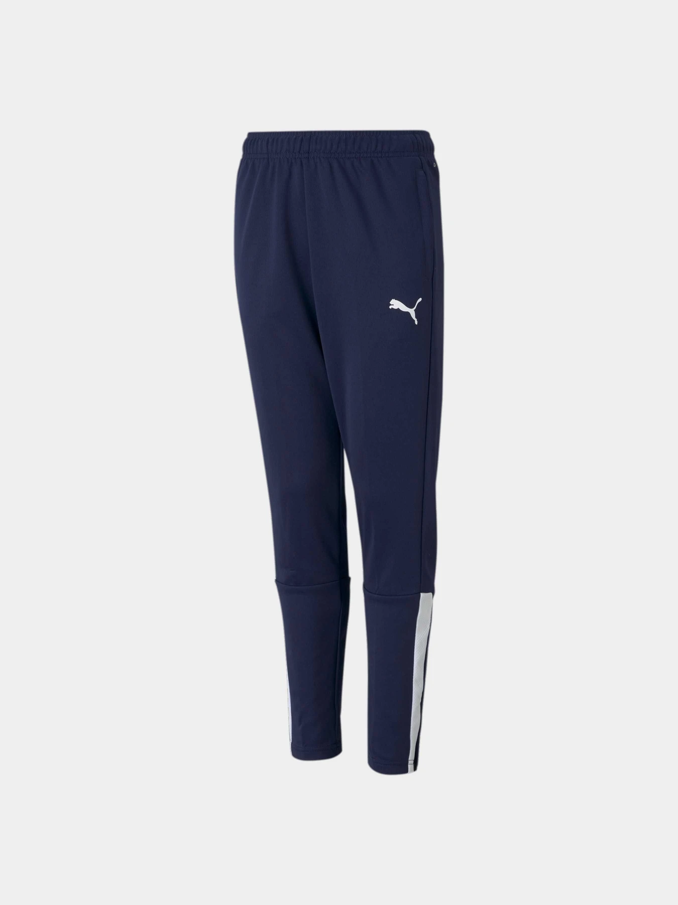 Штани PUMA Teamliga Training Pants Jr модель 657243 Фото