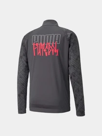 Куртки та дублянки PUMA Neymar Jr Futebol Training J модель 605598 Фото