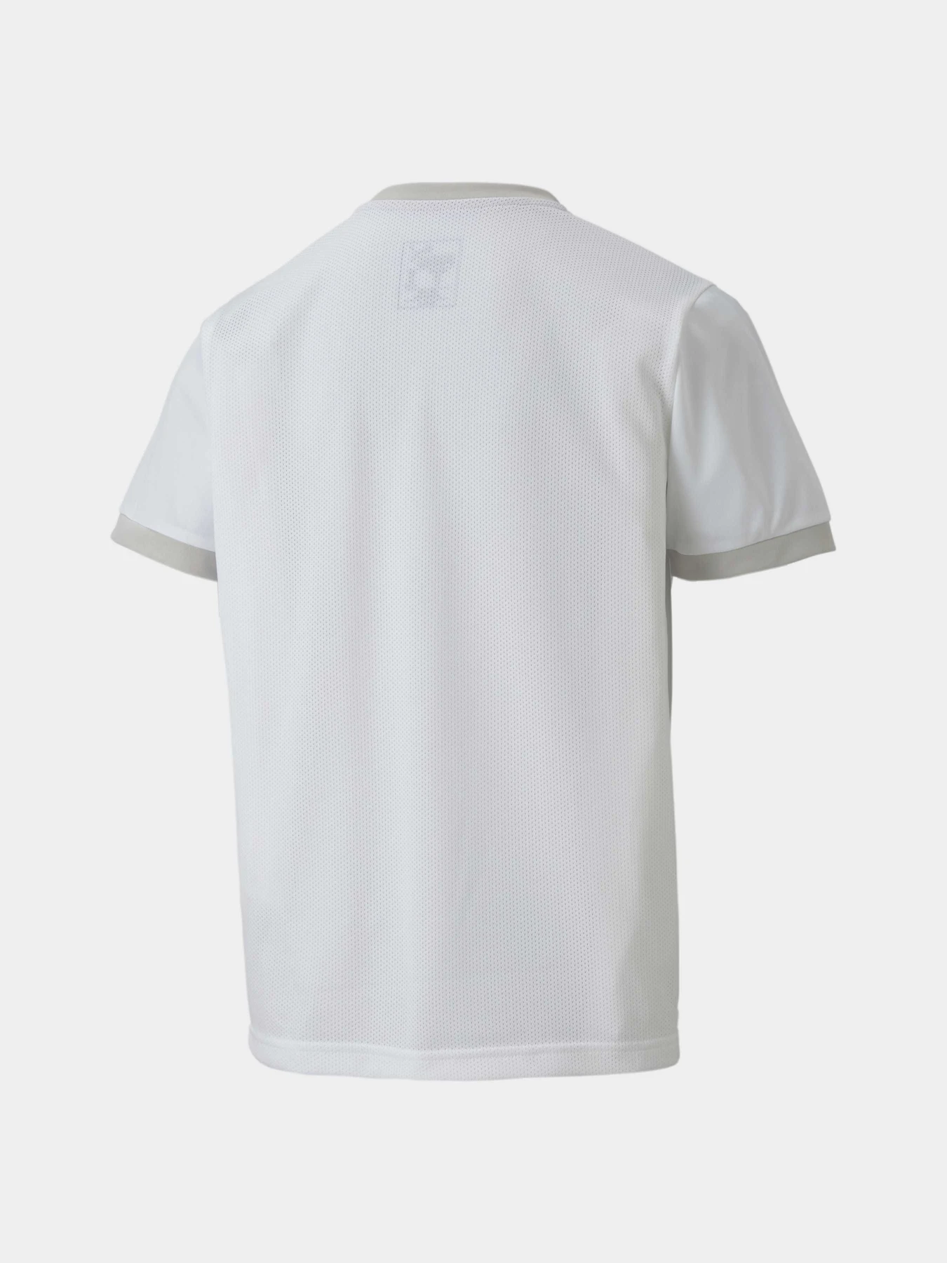 Футболки и поло PUMA Teamgoal 23 Jersey Jr модель 704160 Фото
