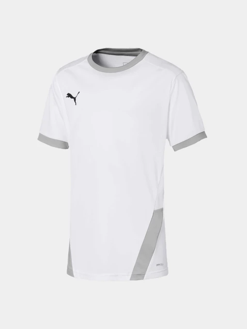 Футболки и поло PUMA Teamgoal 23 Jersey Jr модель 704160 Фото