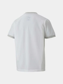 Футболки и поло PUMA Teamgoal 23 Jersey Jr модель 704160 Фото