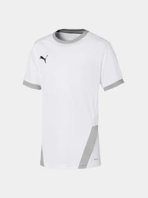 Футболки и поло PUMA Teamgoal 23 Jersey Jr модель 704160 Фото