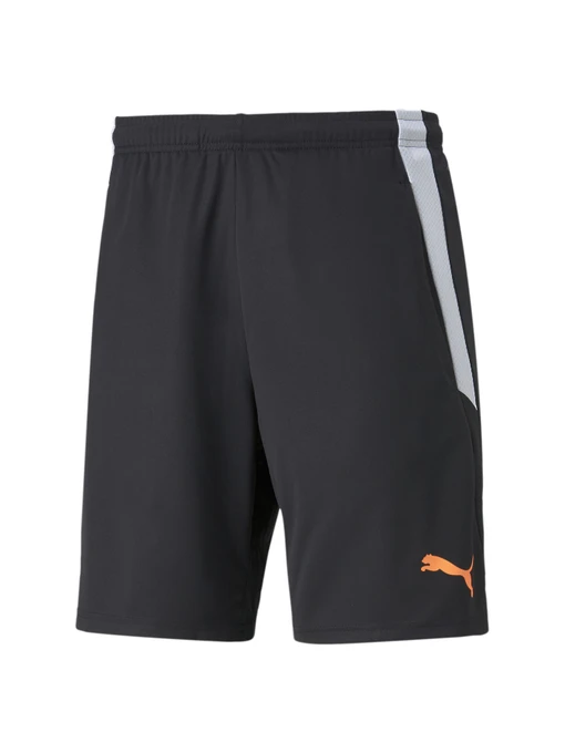 Шорти PUMA Teamliga Training Shorts 2 модель 657667 Фото