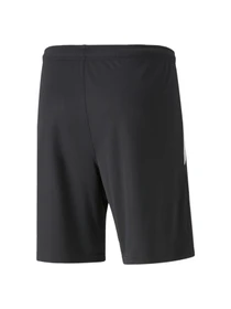 Шорти PUMA Teamliga Training Shorts 2 модель 657667 Фото