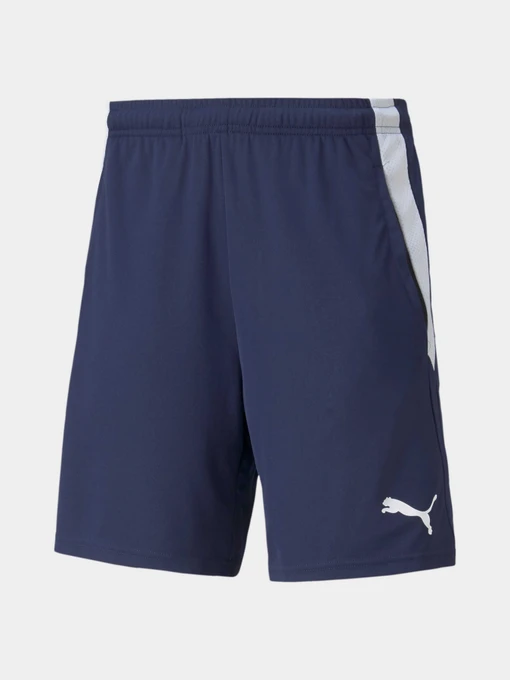 Шорти PUMA Teamliga Training Shorts 2 модель 657667 Фото