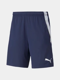 Шорти PUMA Teamliga Training Shorts 2 модель 657667 Фото