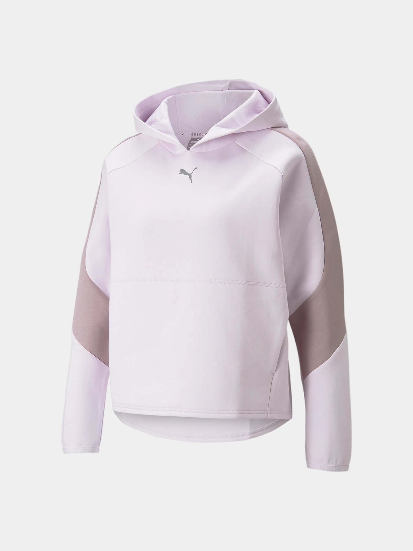Худи и свитшоты PUMA модель 847072 Худи и свитшоты PUMA модель 847072 Фото