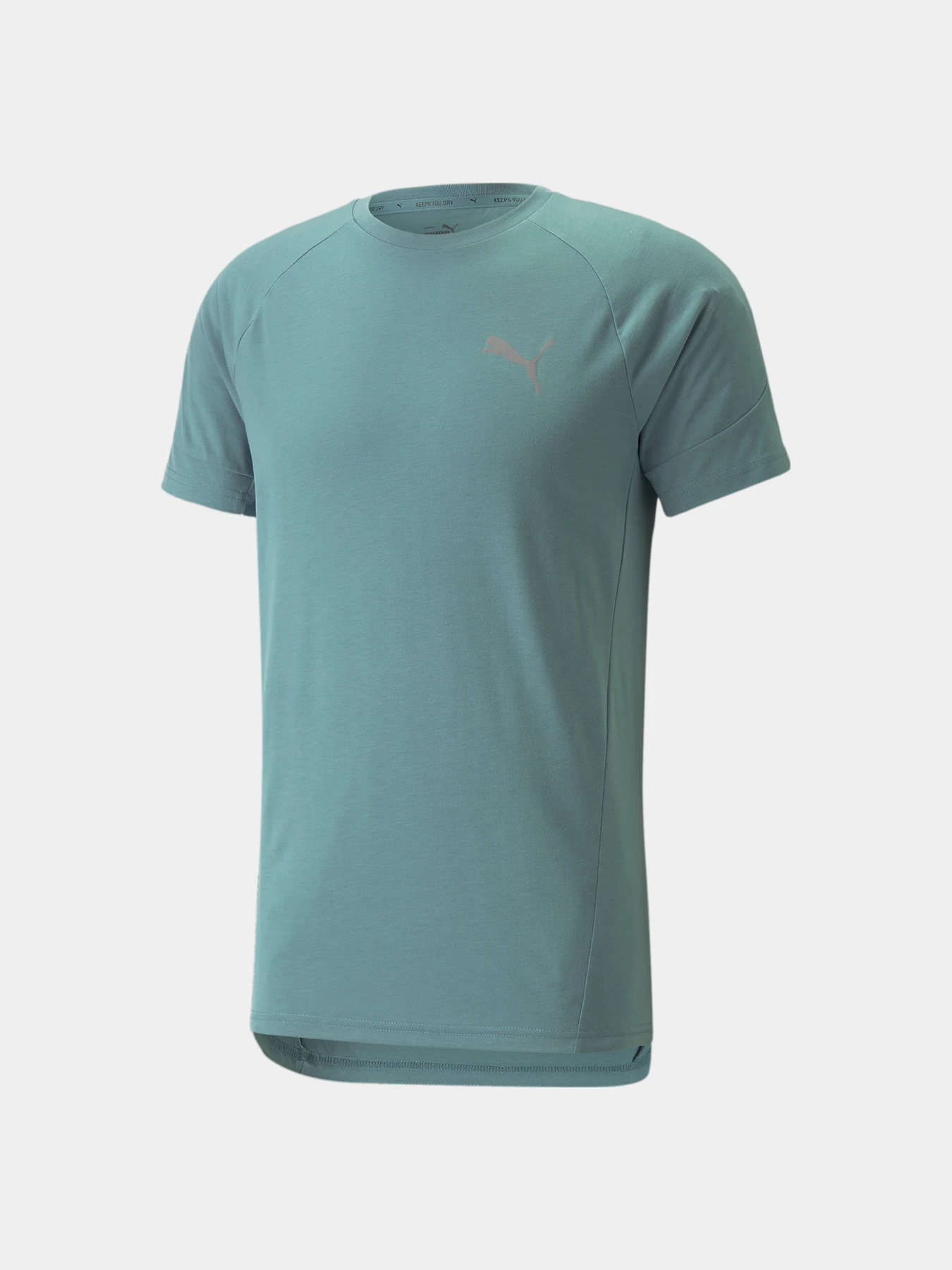 Футболки и поло PUMA Evostripe Tee модель 847394 Футболки и поло PUMA Evostripe Tee модель 847394 Фото