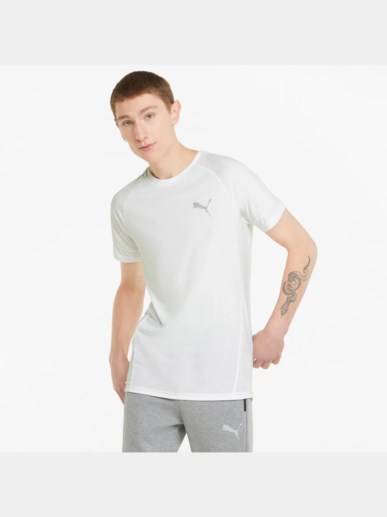 Футболки и поло PUMA Evostripe Tee модель 847394 Футболки и поло PUMA Evostripe Tee модель 847394 Фото