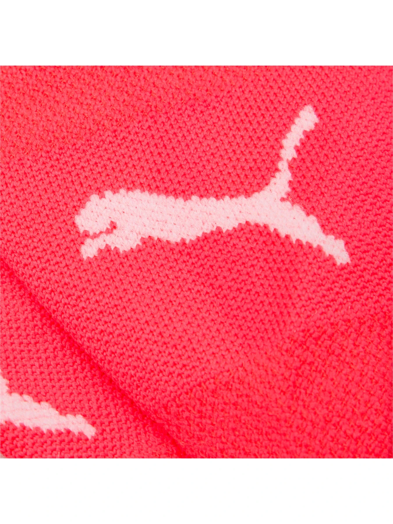 Шкарпетки та гольфи PUMA модель 907101 Фото
