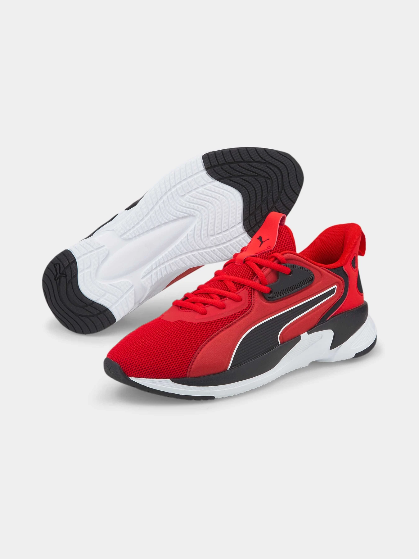 Кросівки PUMA Softride Premier модель 376186 Кросівки PUMA Softride Premier модель 376186 Фото