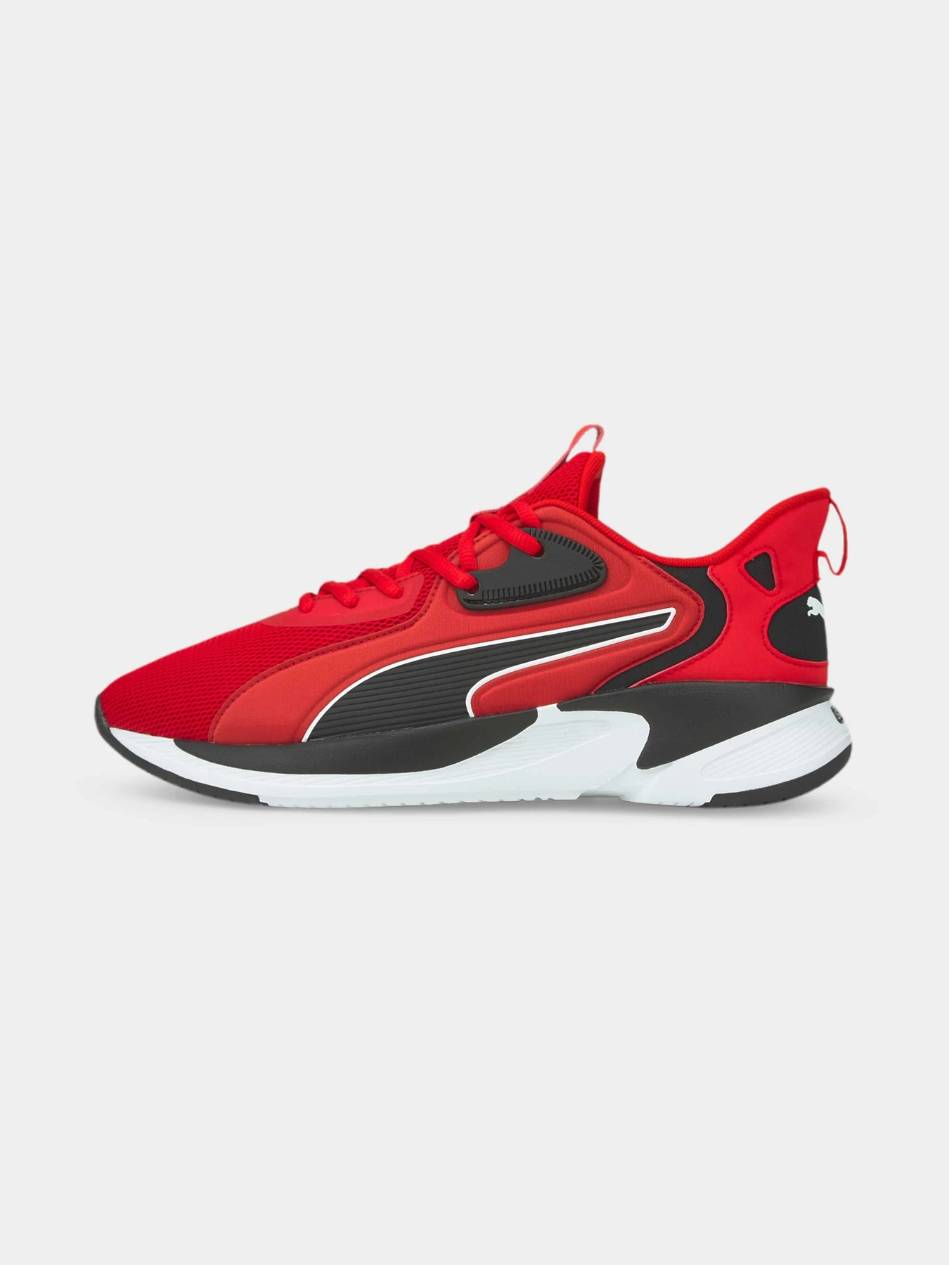 Кросівки PUMA Softride Premier модель 376186 Кросівки PUMA Softride Premier модель 376186 Фото