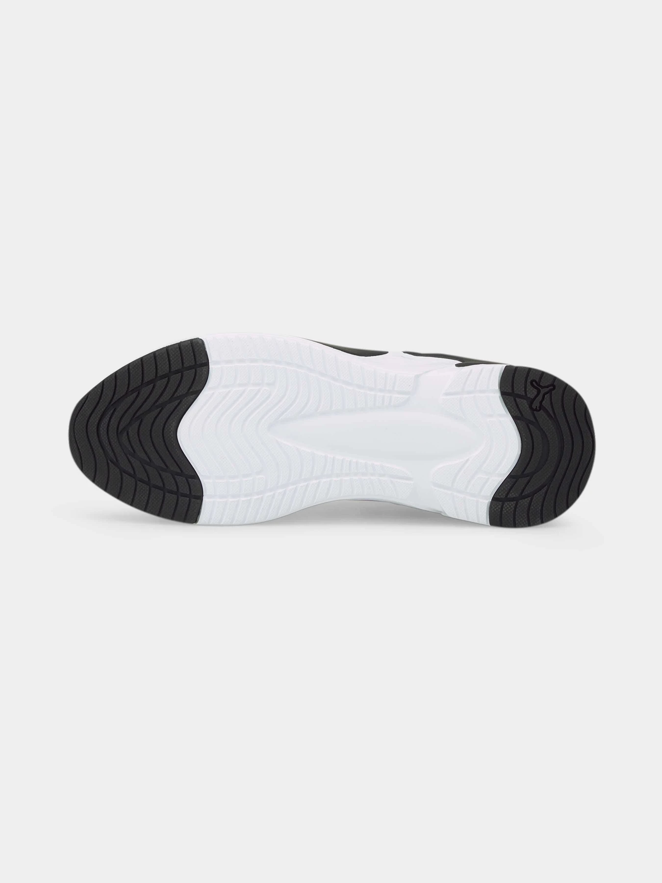 Кросівки PUMA Softride Premier модель 376186 Кросівки PUMA Softride Premier модель 376186 Фото