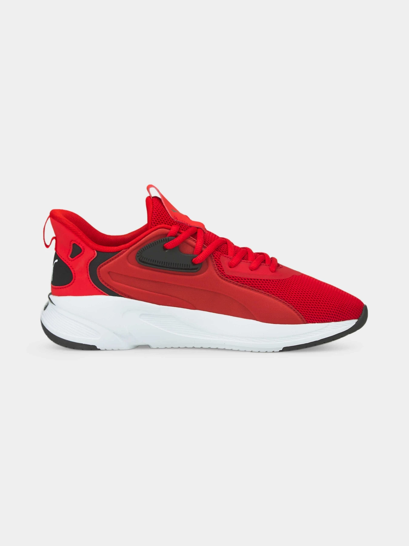 Кросівки PUMA Softride Premier модель 376186 Кросівки PUMA Softride Premier модель 376186 Фото