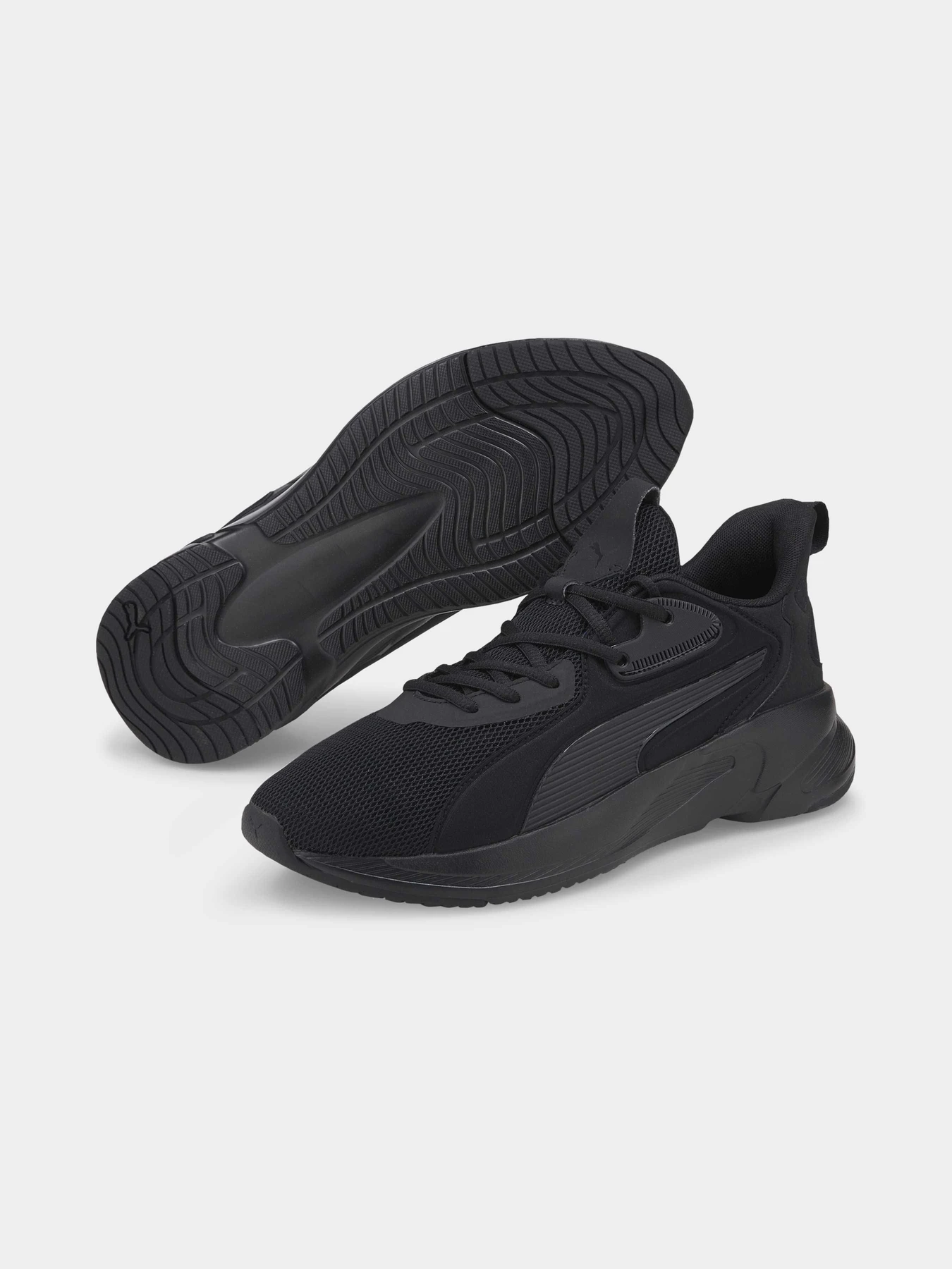 Кросівки PUMA Softride Premier модель 376186 Кросівки PUMA Softride Premier модель 376186 Фото