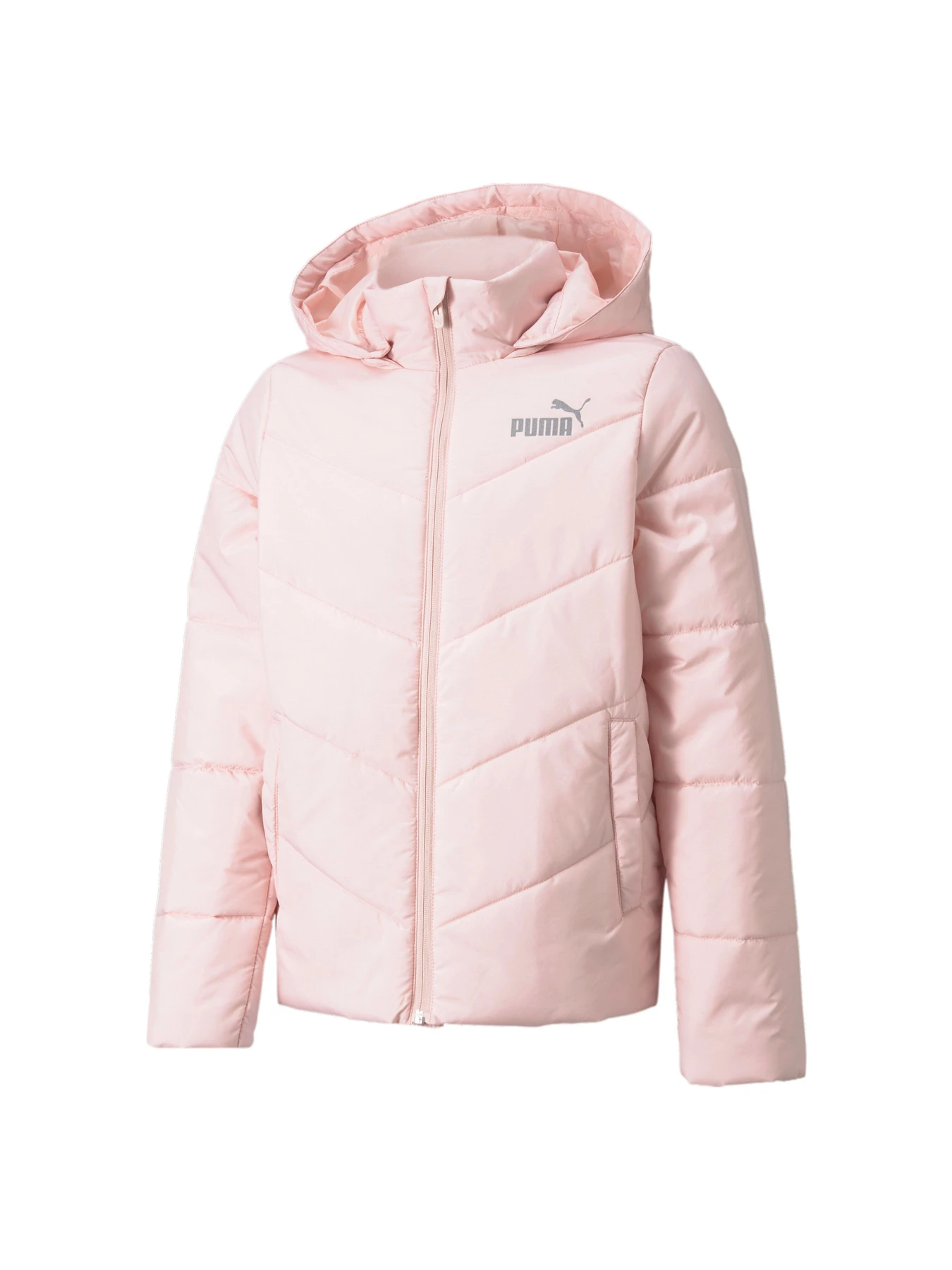 Куртки и дубленки PUMA модель 589576 Куртки и дубленки PUMA модель 589576 Фото