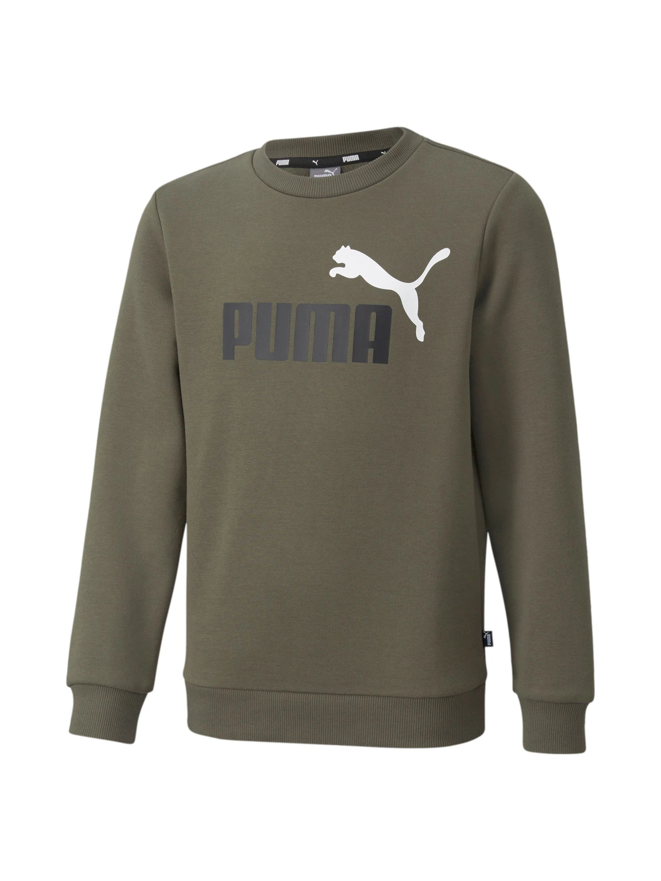 Худи и свитшоты PUMA модель 586986 Фото