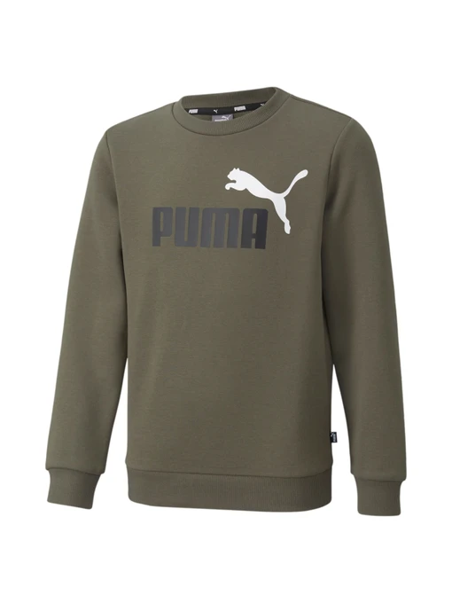 Худи и свитшоты PUMA модель 586986 Фото
