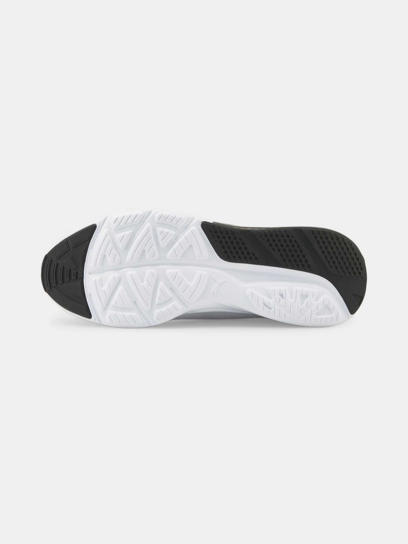 Кросівки PUMA модель 376180 Кросівки PUMA модель 376180 Фото
