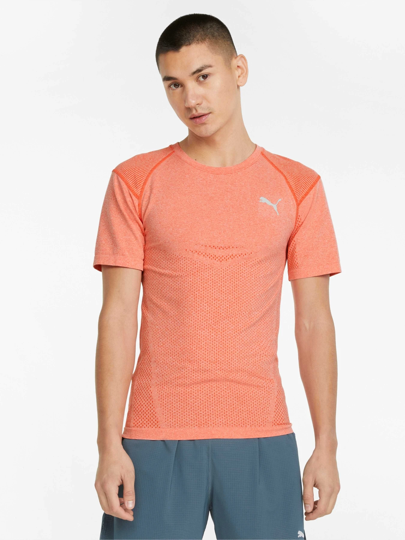 Футболки и поло PUMA Train Evoknit Ss Tee модель 521512 Футболки и поло PUMA Train Evoknit Ss Tee модель 521512 Фото