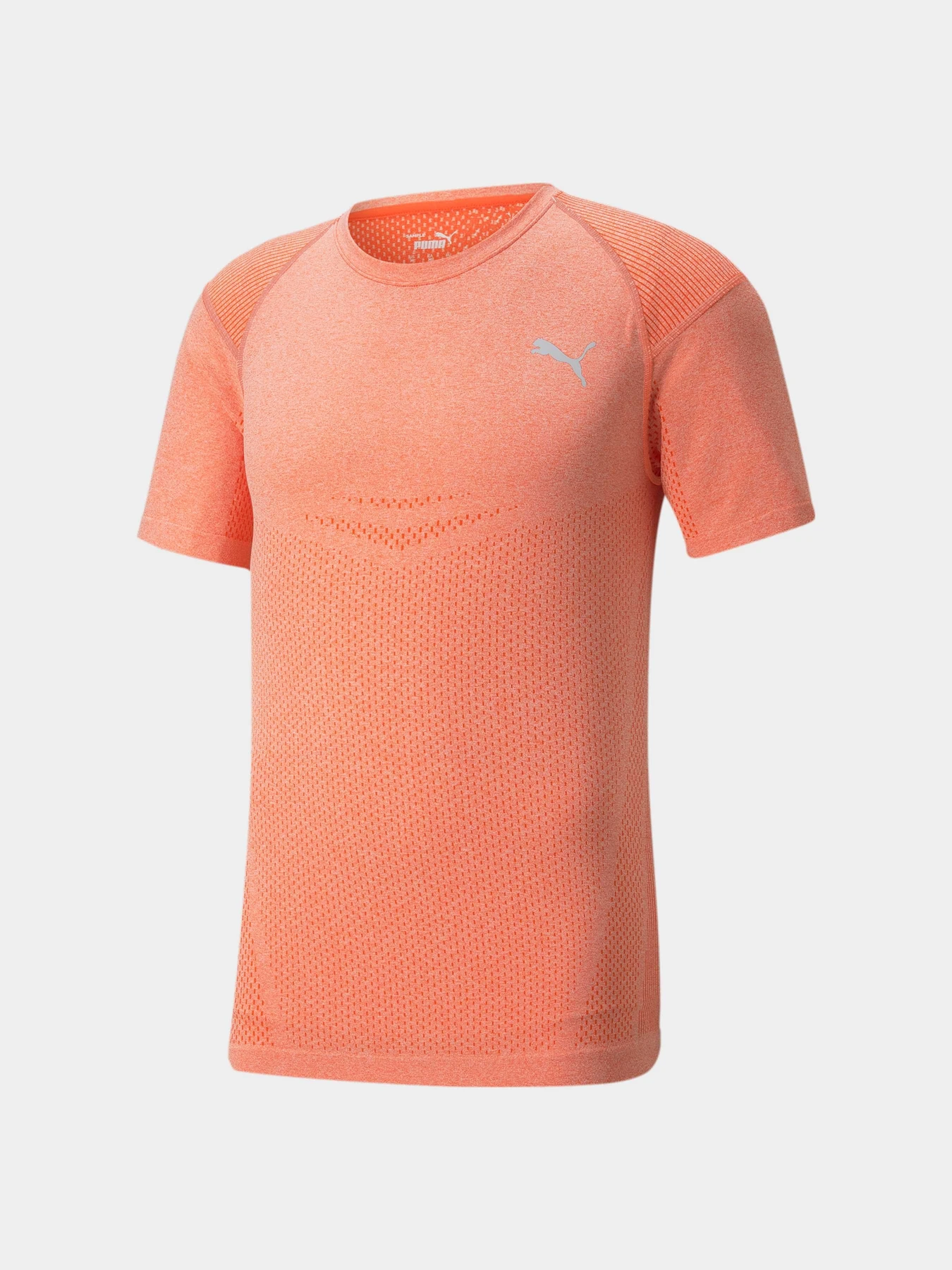 Футболки и поло PUMA Train Evoknit Ss Tee модель 521512 Футболки и поло PUMA Train Evoknit Ss Tee модель 521512 Фото