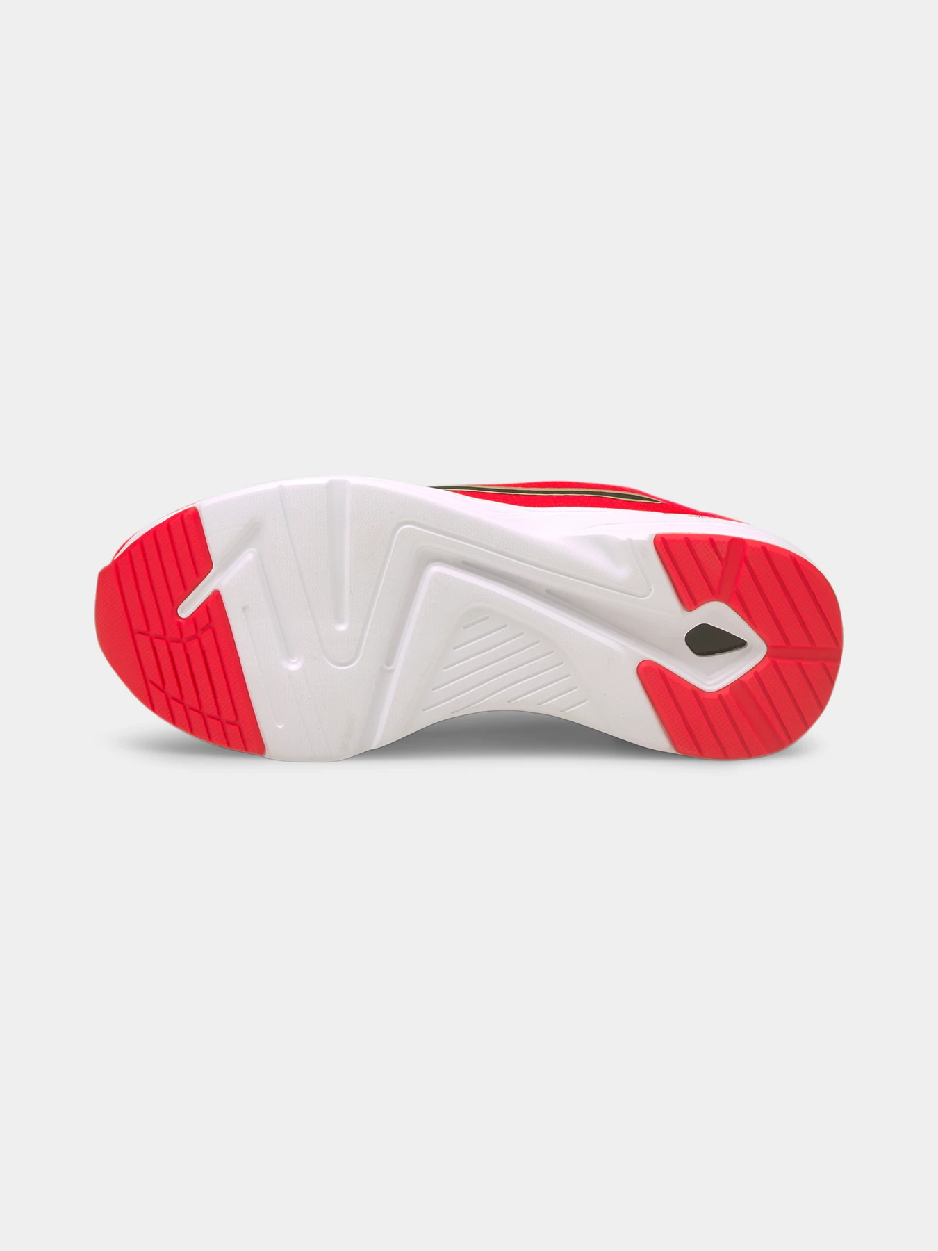 Кросівки PUMA модель 195515 Кросівки PUMA модель 195515 Фото