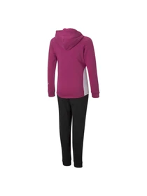Костюми PUMA Hooded Sweat Suit модель 846935 Фото
