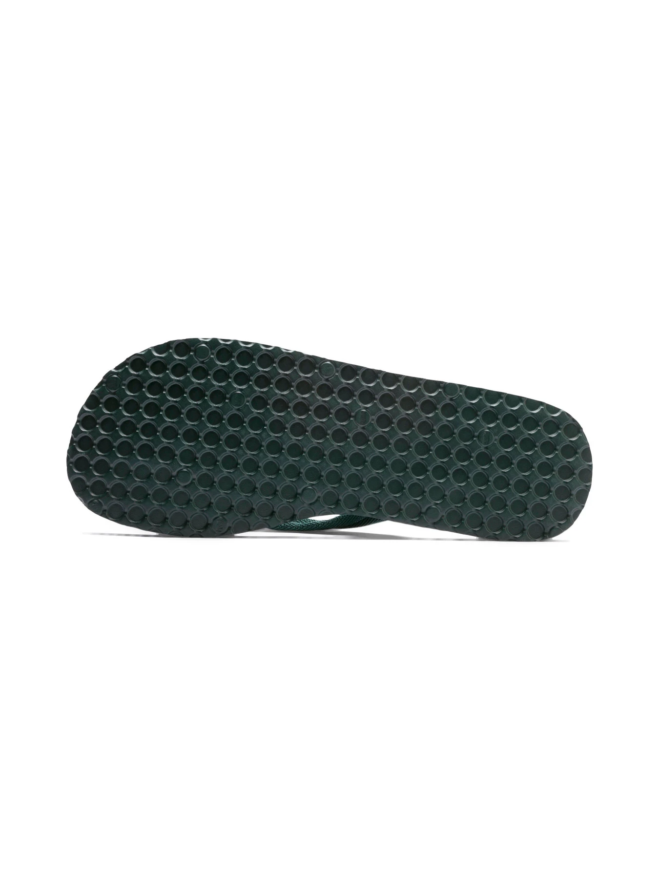 Шльопанці PUMA Epic Flip v2 модель 360248 Фото