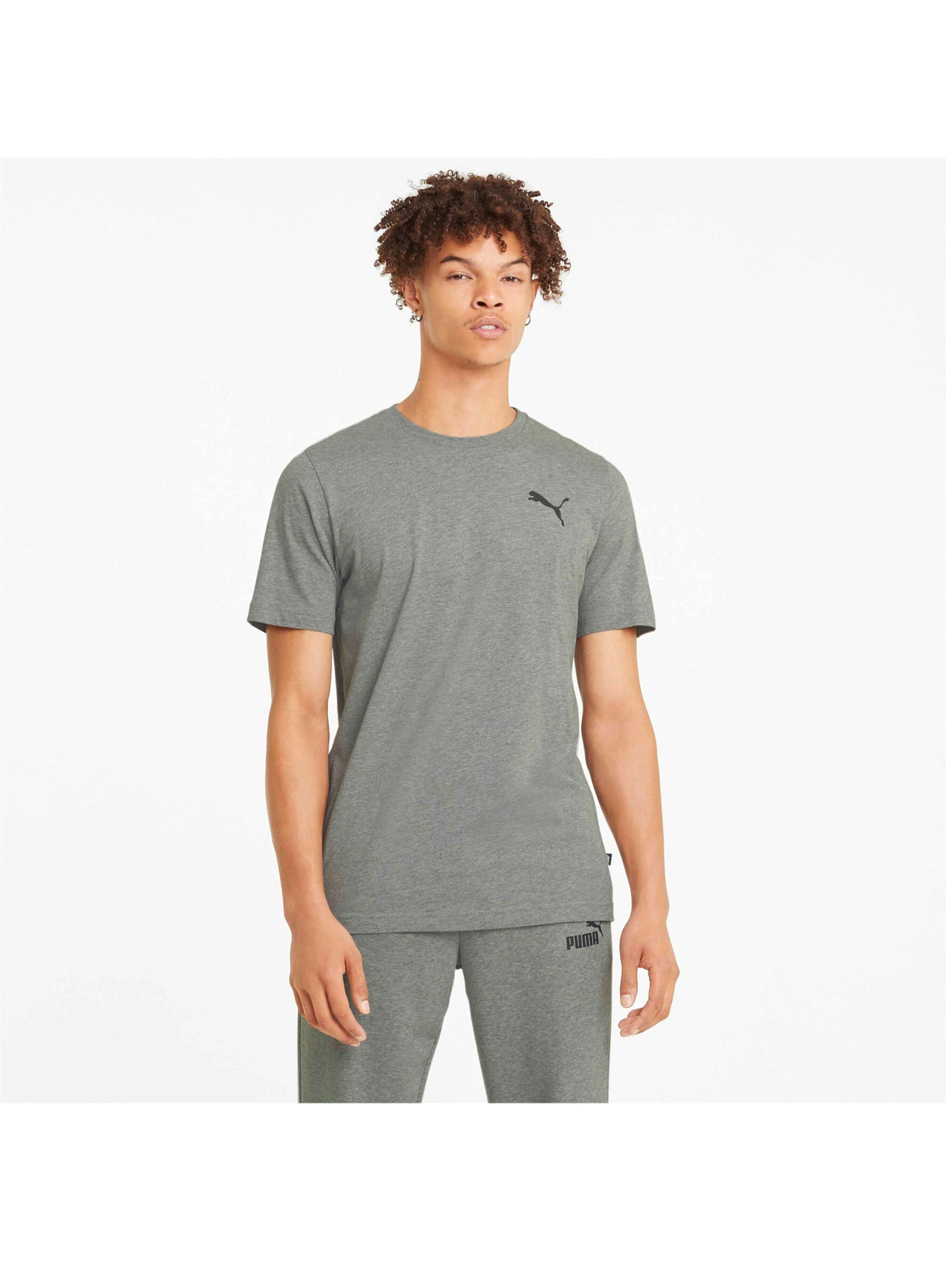 Футболки і поло PUMA Ess Small Logo Tee модель 586668 Фото
