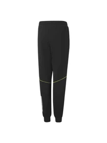 Брюки PUMA Active Sports Sweatpants модель 846999 Фото