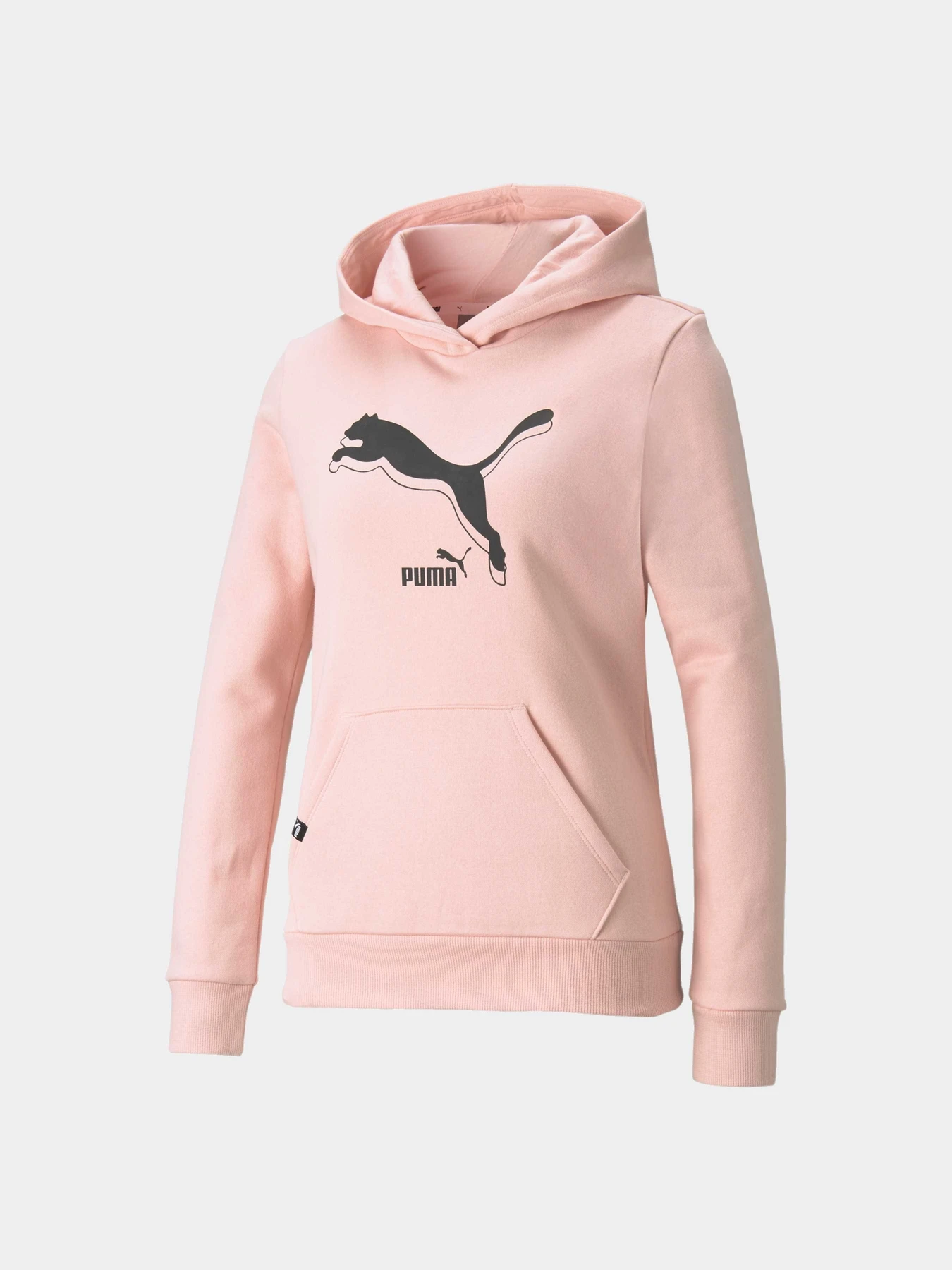 Худи и свитшоты PUMA Power Logo Hoodie модель 589541 Фото