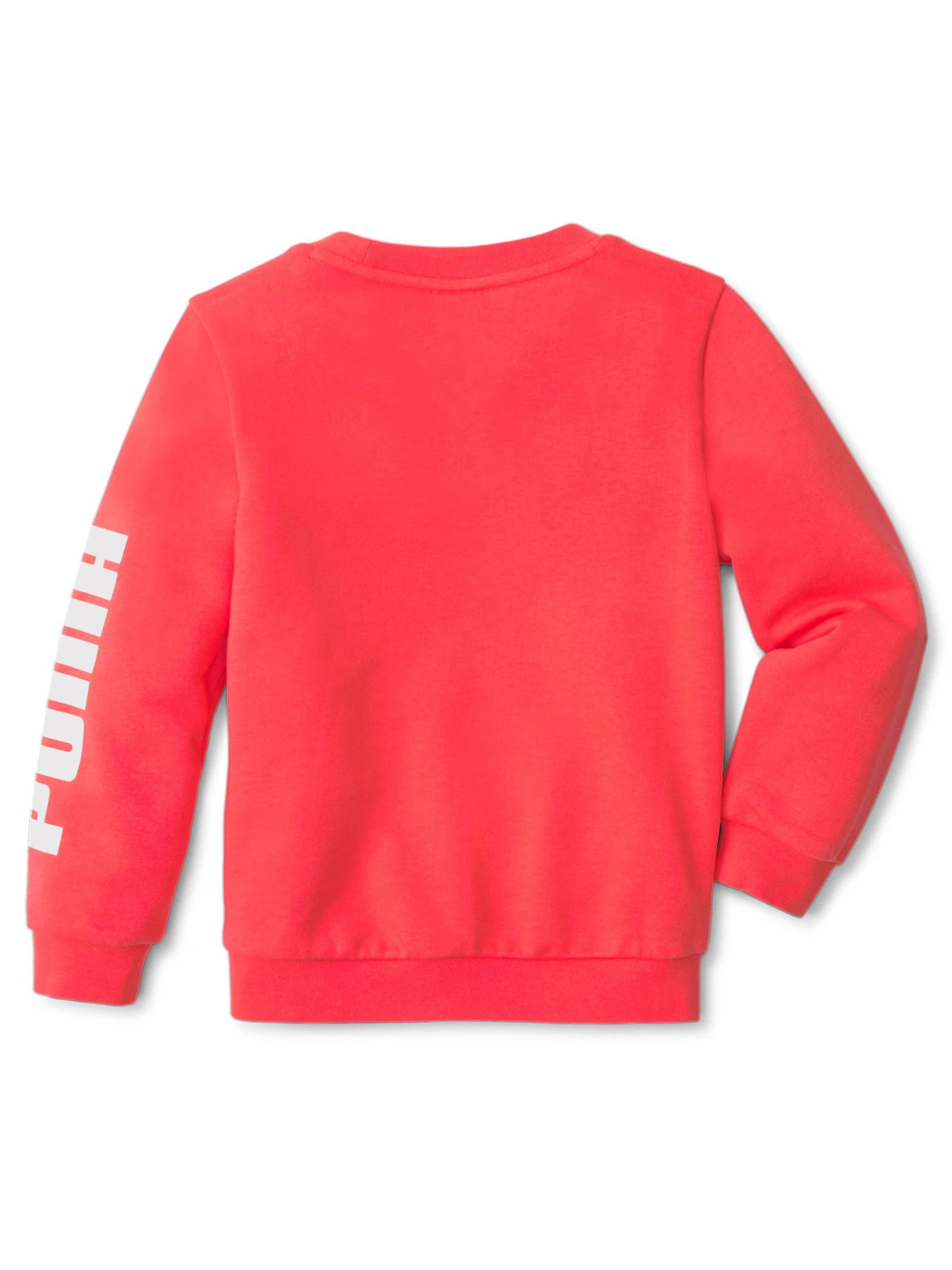 Худи и свитшоты PUMA модель 589250 Худи и свитшоты PUMA модель 589250 Фото