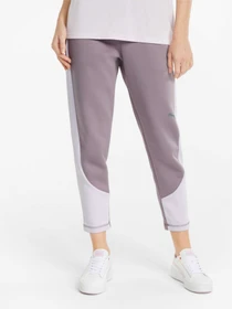 Брюки PUMA Evostripe Pants модель 847076 Фото
