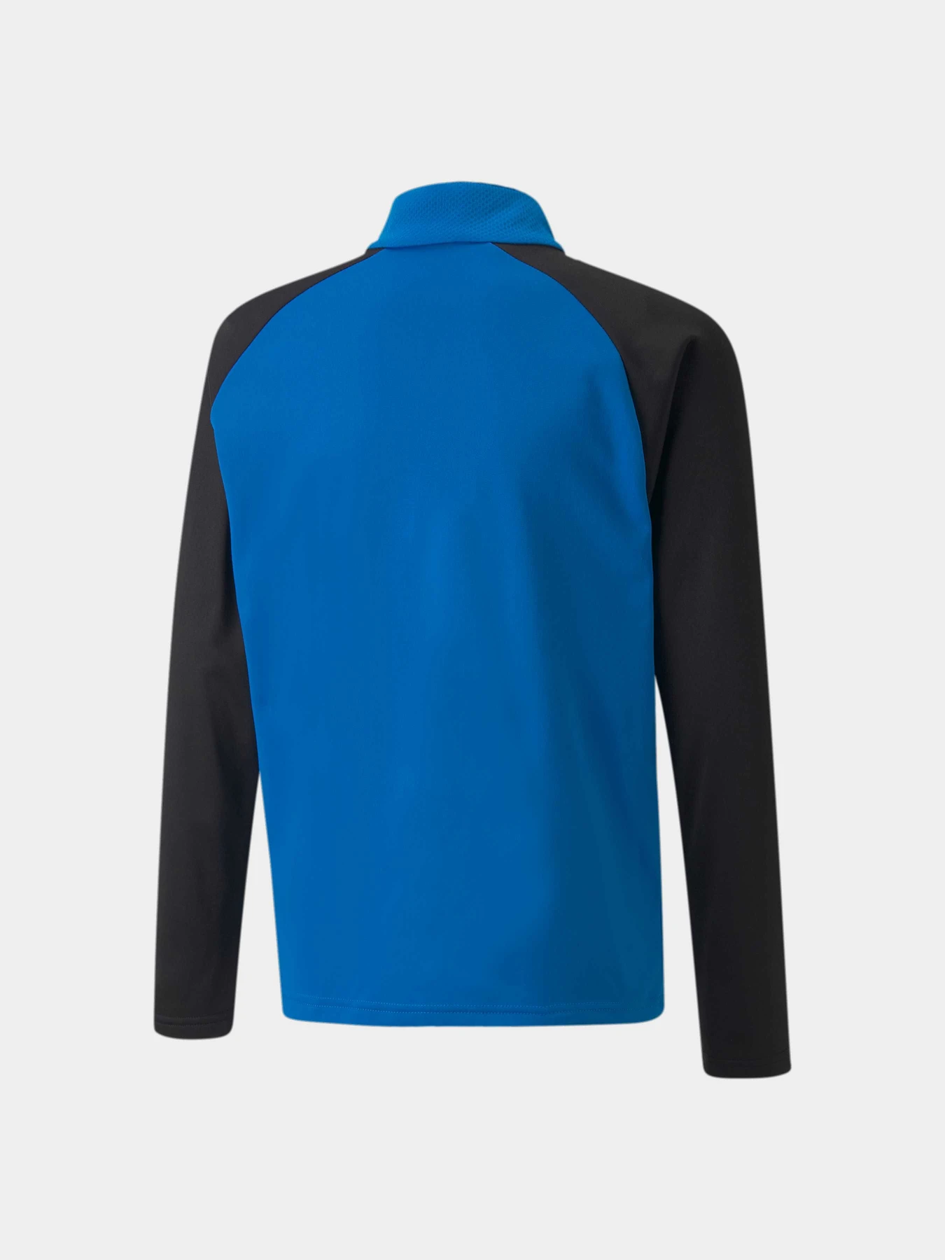 Худи и свитшоты PUMA Teamliga 1/4 Zip Top Jr модель 657237 Фото