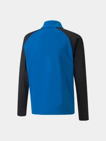 Худи и свитшоты PUMA Teamliga 1/4 Zip Top Jr модель 657237 Фото