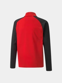 Худи и свитшоты PUMA Teamliga 1/4 Zip Top Jr модель 657237 Фото
