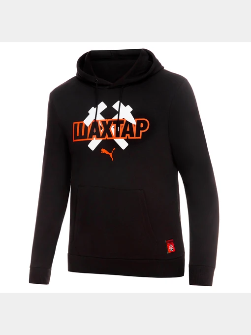 Худі та світшоти PUMA Fcsd Ftblcore Hoody модель 764123 Фото