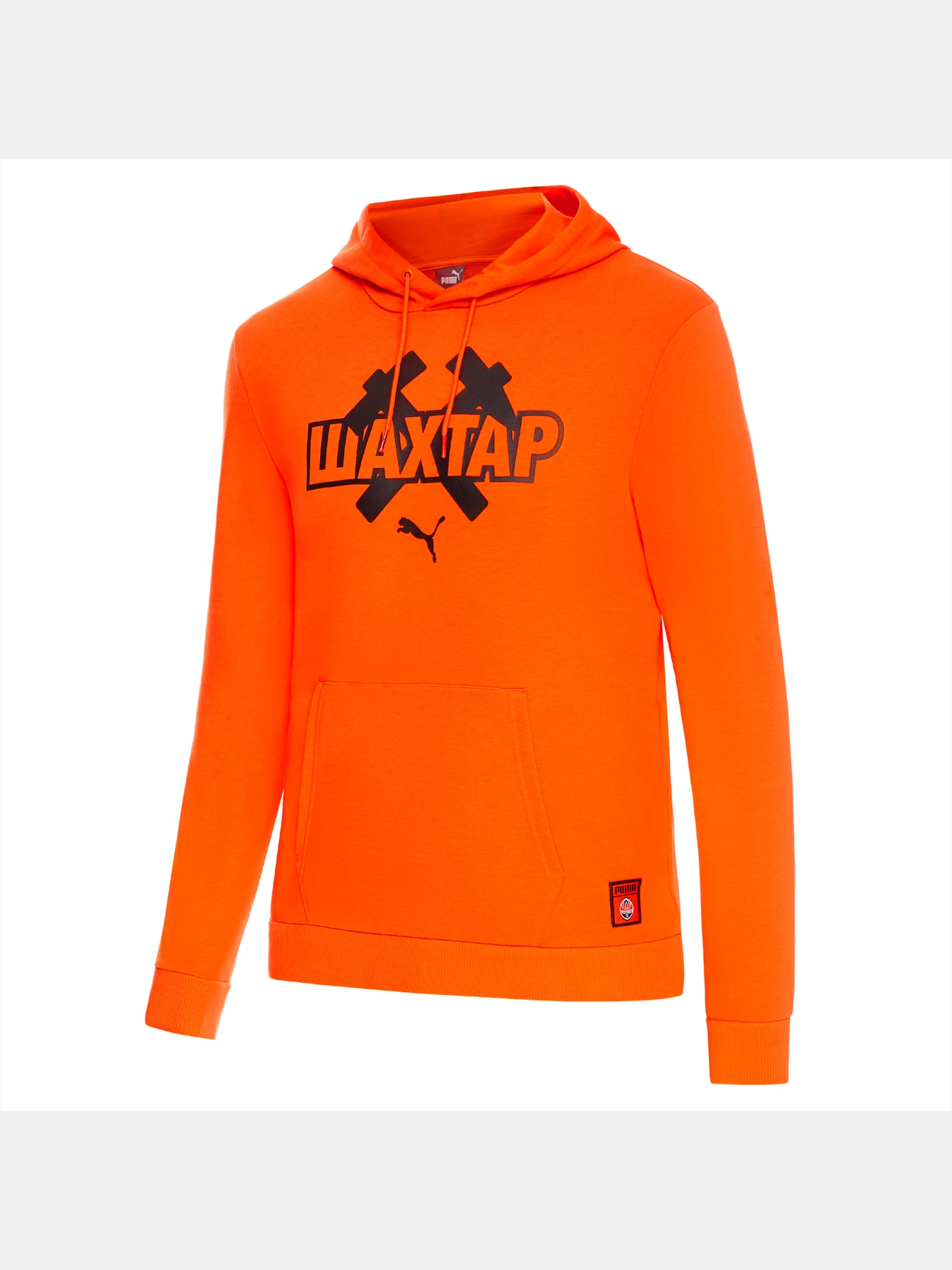 Худі та світшоти PUMA Fcsd Ftblcore Hoody модель 764123 Худі та світшоти PUMA Fcsd Ftblcore Hoody модель 764123 Фото
