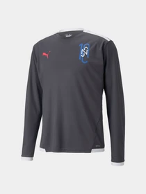 Худі та світшоти PUMA Neymar Jr Futebol Ls Jersey модель 605596 Фото