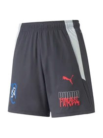 Шорты PUMA модель 605603 Фото