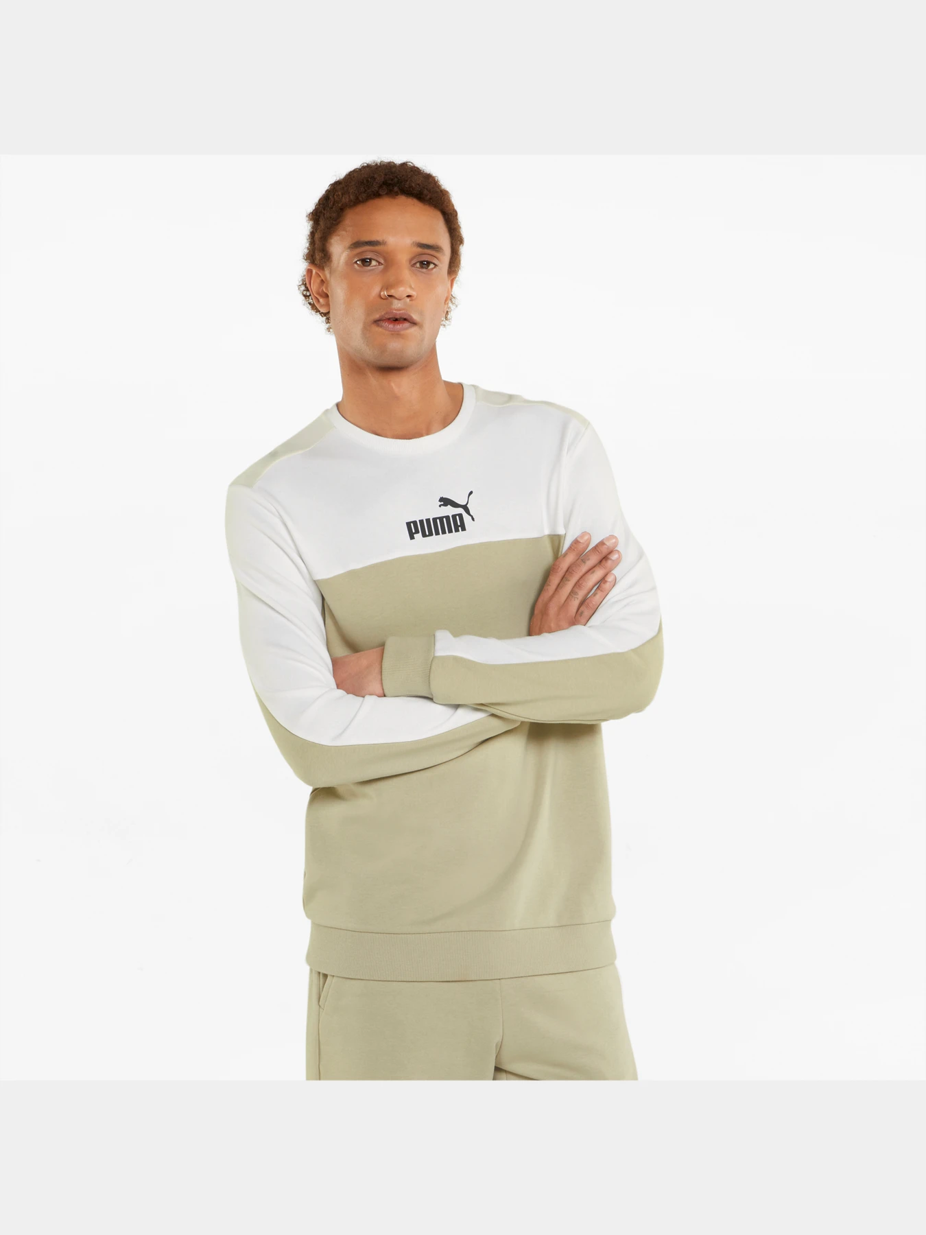 Худи и свитшоты PUMA Ess+ Block Crew модель 847427 Худи и свитшоты PUMA Ess+ Block Crew модель 847427 Фото