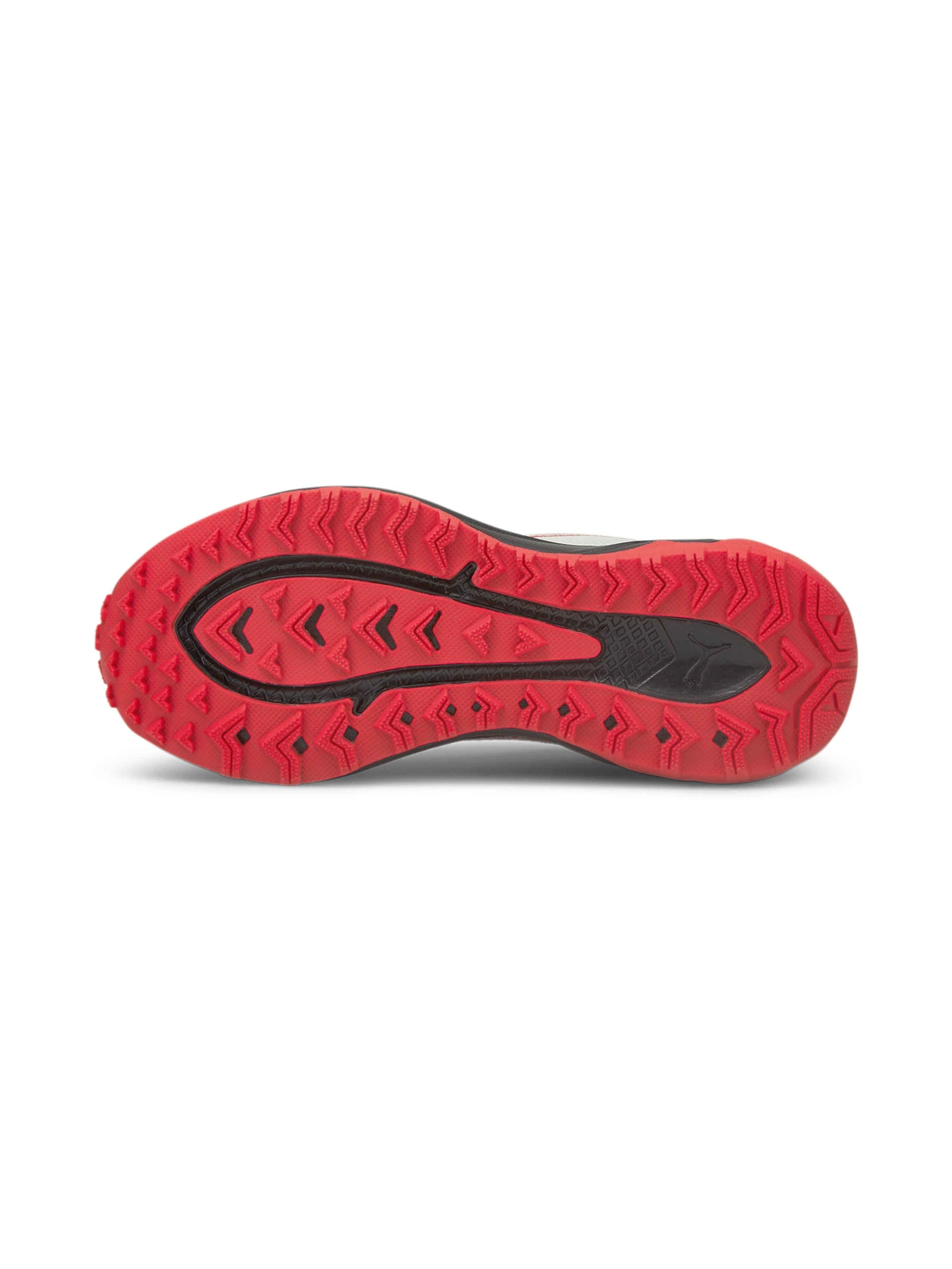 Кроссовки PUMA Better Foam Xterra модель 195165 Кроссовки PUMA Better Foam Xterra модель 195165 Фото